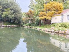 -上海共青森林公园