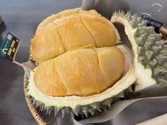 -都念榴莲·城市榴莲