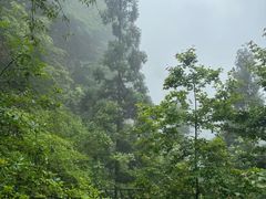 -刘伯温故里景区百丈漈