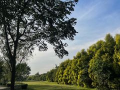 -白鹭湾湿地公园