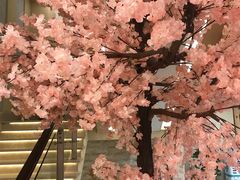 -汤里来温泉