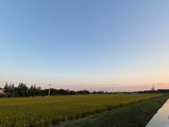 -东平国家森林公园
