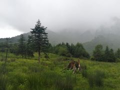 -硗碛藏寨·神木垒景区