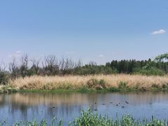 -捞渔河湿地公园