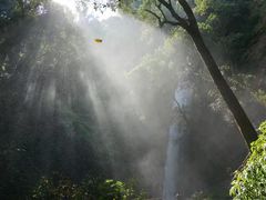 -莫里热带雨林景区