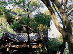 -金鸡山公园