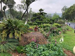 -东莞植物园