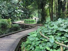 -新加坡飞禽公园