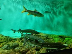 -太平洋海底世界