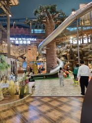 -卡通尼·Safari非洲探索乐园·生日会(金桥国际商业广场店)