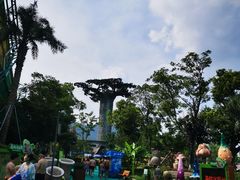 -苏州乐园森林水世界