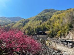 -MOJ coffee(瓯海泽雅水碓坑店)