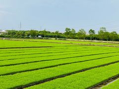 -嘉北郊野公园