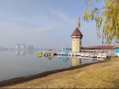 -九龙湖公园