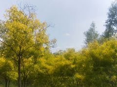 -东郊湿地公园