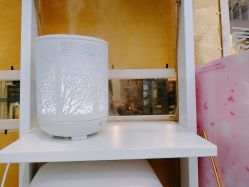 -菲秀家科技美颜SPA生活馆