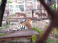 -昆明动物园