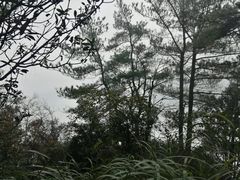 -綦江古剑山