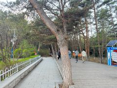 -帽儿山国家森林公园