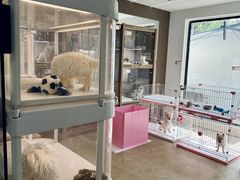 -翊宠yipet猫狗购宠庄园犬舍•猫舍