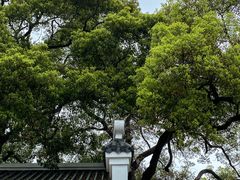 -岳麓山风景名胜区