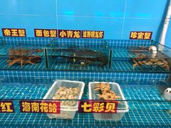 -上海阿潘舟山海鲜店(东宝兴路店)