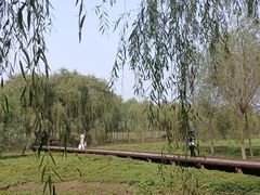 -西青郊野公园