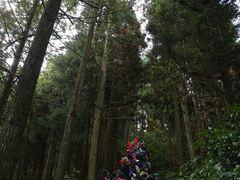 -井冈山风景名胜区-黄洋界