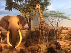 -陕西自然博物馆