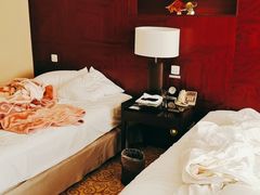 -上海圣淘沙万怡酒店