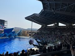 -上海海昌海洋公园