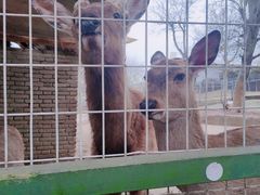 -武汉紫薇都市田园