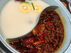 -青瓷火锅料理(西单大悦城店)