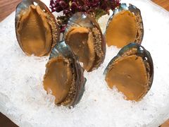 手工冰镇鲍鱼-木棉·醉心粤味(COCO Park店)