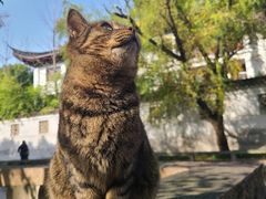 -西园戒幢律寺