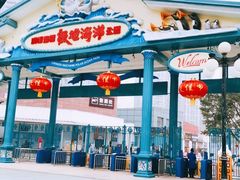 -海合安成都极地海洋公园
