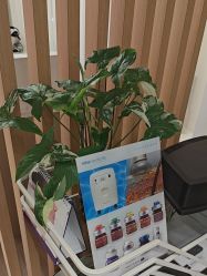 -海菲秀黑钻·SELF SKIN悦己·Tech SPA