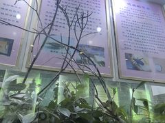 -上海昆虫博物馆