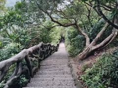 -梧桐山风景名胜区