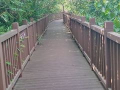 -仙海旅游度假区