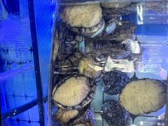 -日照大牌檔•小船海鲜(万平口店)