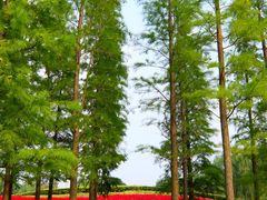 -梁鸿国家湿地公园