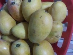 -江杨农产品批发市场