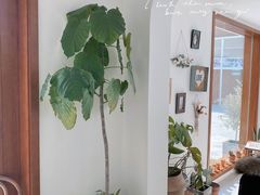-AHAVA·Fang Baking Studio