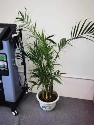 -雅颜皮肤管理中心
