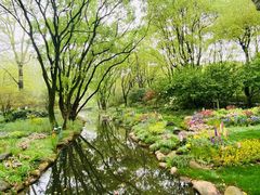 -上海共青森林公园