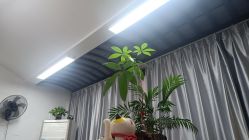 -痘院士祛痘美容皮肤管理