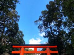 -奈良公园
