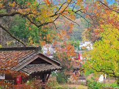 -塔川景区