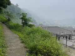 -南山植物园